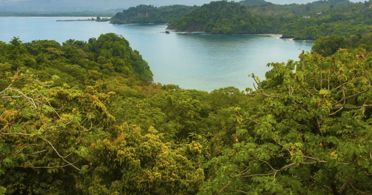 Sigue leyendo Où voir des animaux sans les gêner en écotourisme ?