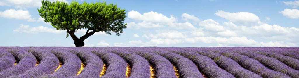 Sigue leyendo 10 plus beaux panoramas de France
