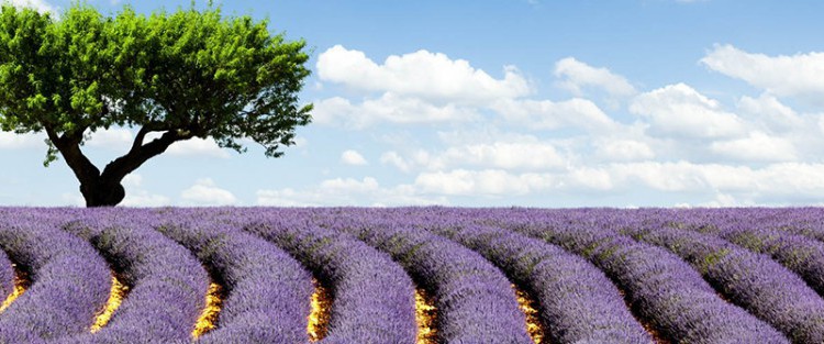 Sigue leyendo 10 plus beaux panoramas de France
