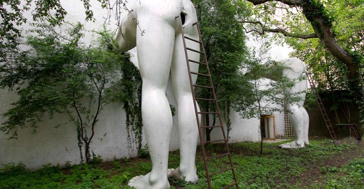 8. Brownnosing, Galerie Futura, Prague