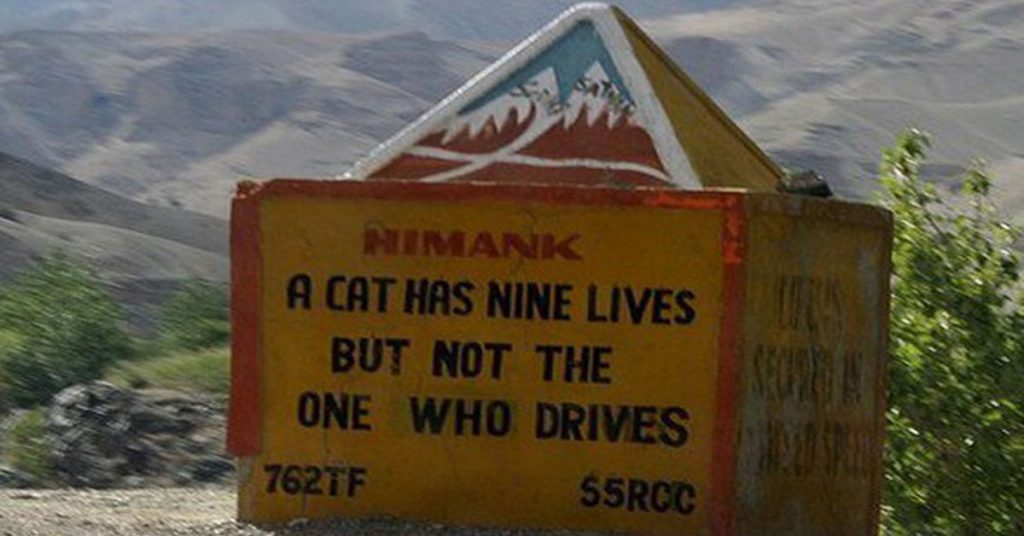 5. Ne pas se prendre pour un chat en Inde