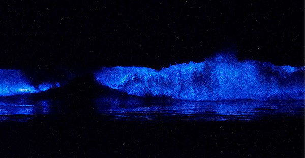 mer s'allume - San Diego