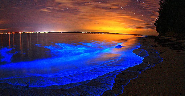 mer s'allume - Vaadhoo