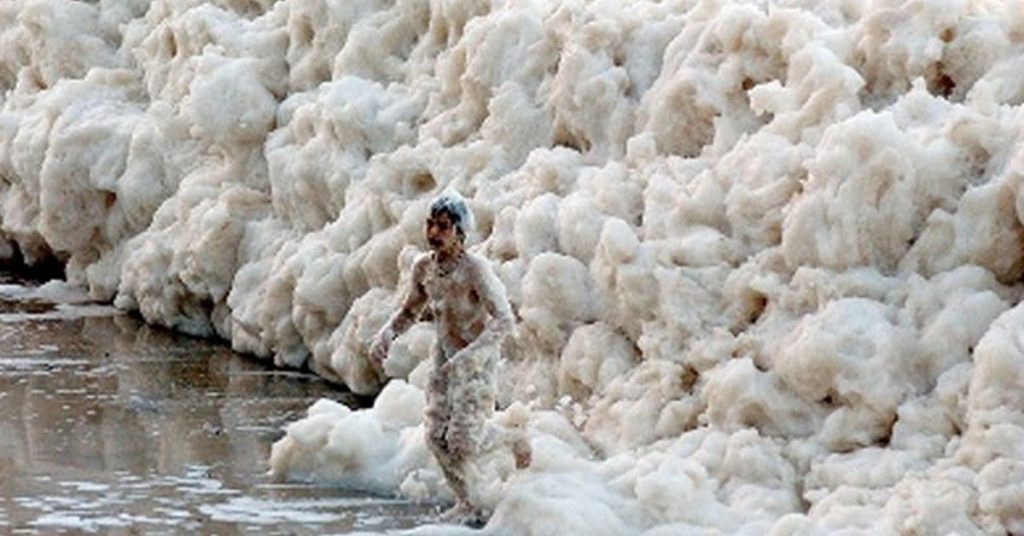 5. Invasion de mousse marine
