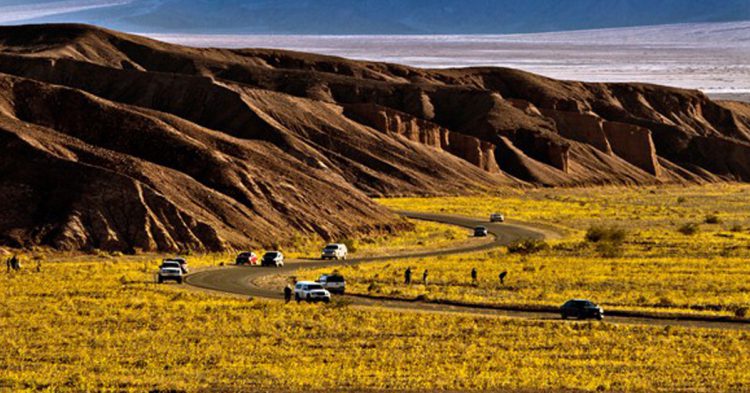 Paysages Death Vallée
