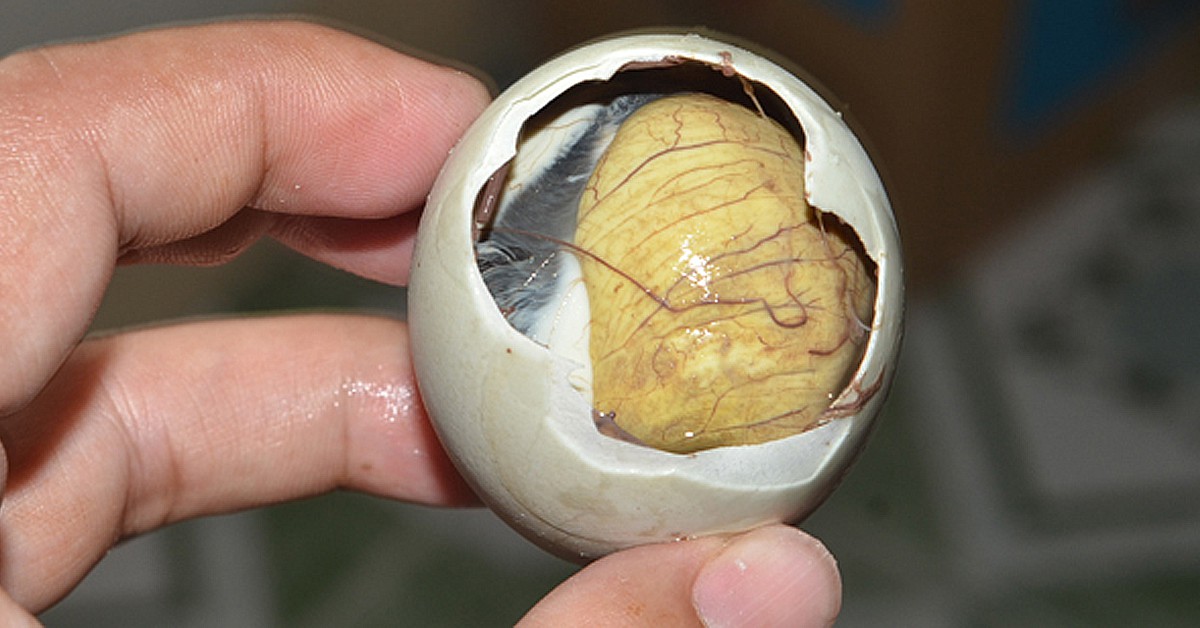 Balut - Flickr