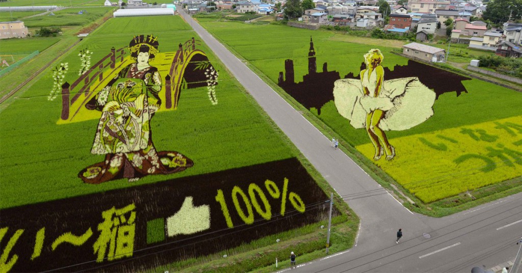 7. Le Rice Art au Japon