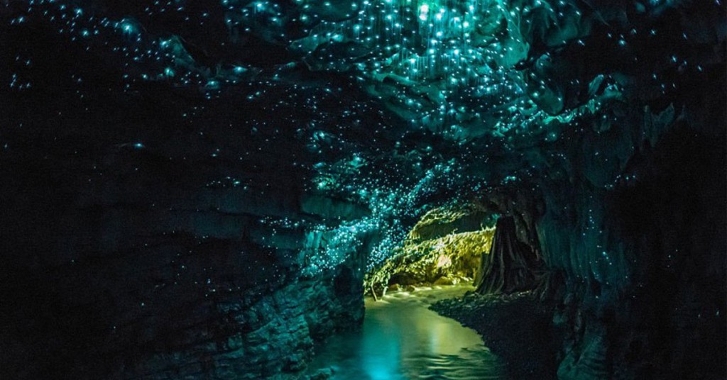 1. Une grotte luminescente - Nouvelle-Zélande
