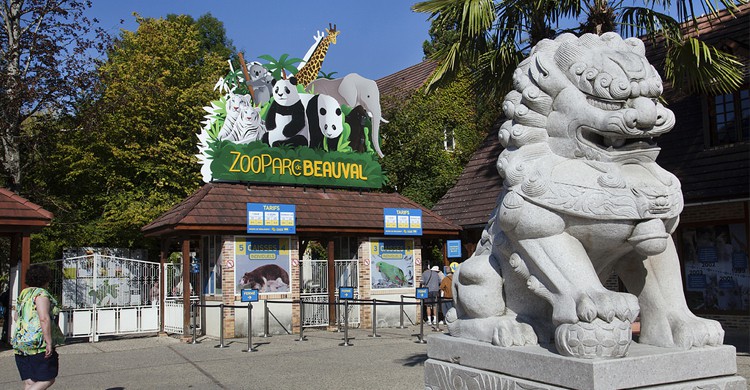 Zoo de Beauval