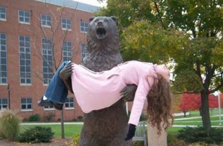 Ours à la rescousse -Demotivateur.com