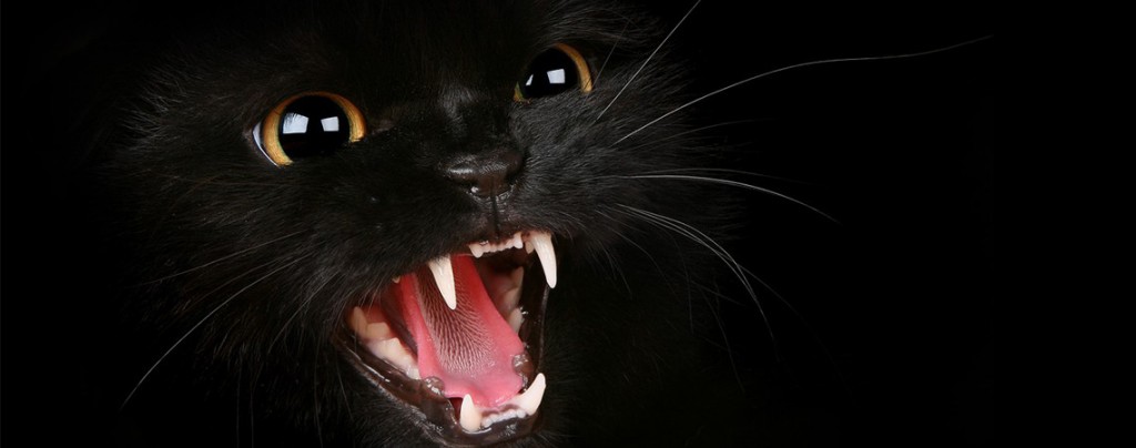 Sigue leyendo 9 superstitions bizarres autour du monde