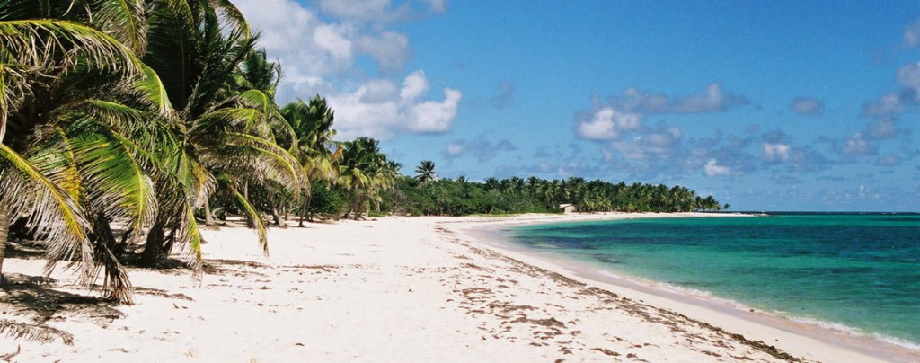 Sigue leyendo Zika…les pays les plus touchés !