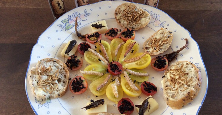 manger un truc bizarre - flickr