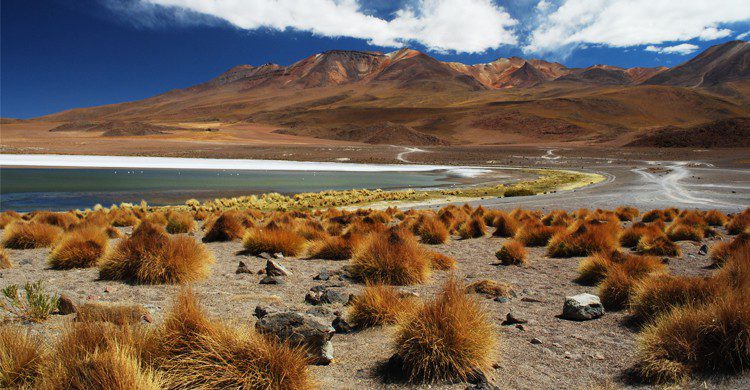 Bolivie - maisondesameriqueslatines.com