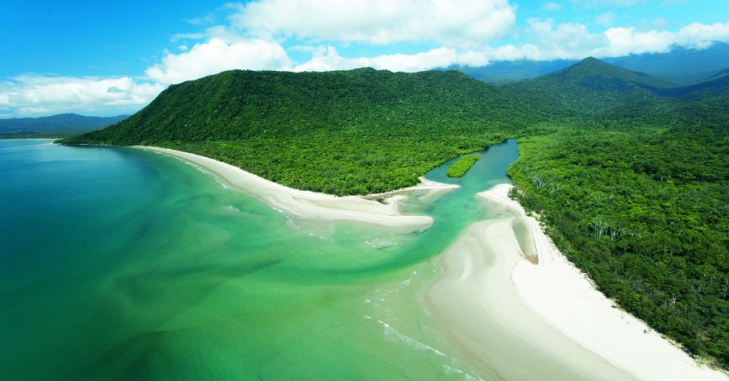 Daintree - pddt.com