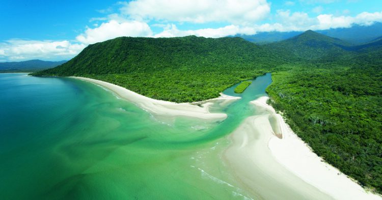 Daintree - pddt.com
