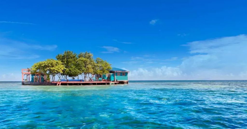 Bird Island