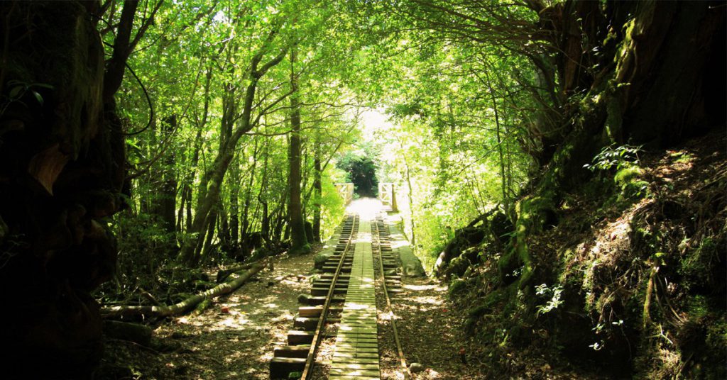 Ile de Yakushima - kantai.com