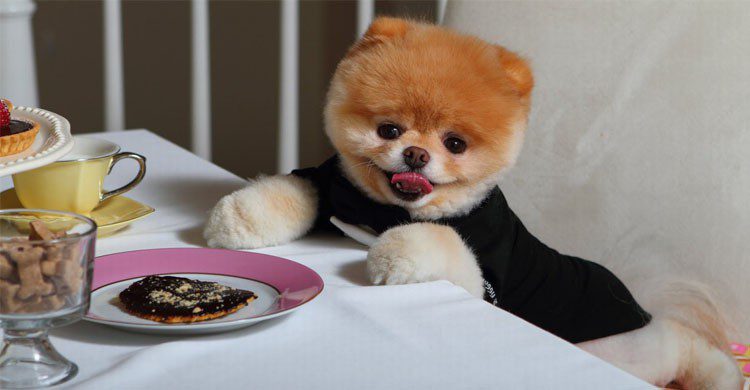 Demandes les plus loufoques faites aux agents de voyage (1wallpaper.net)