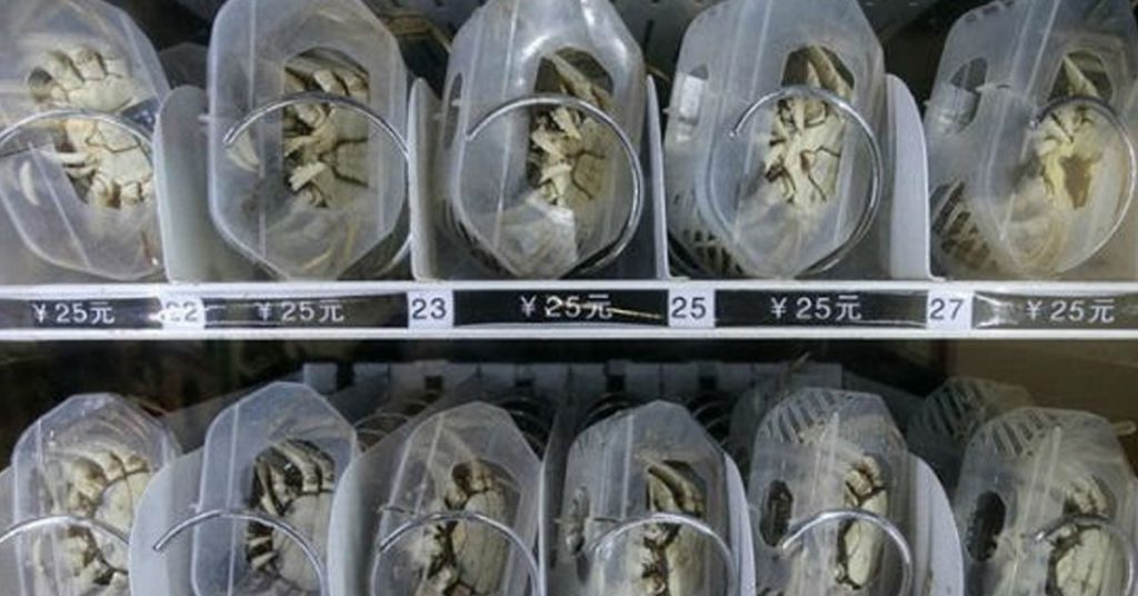 3.Du crabe au Japon