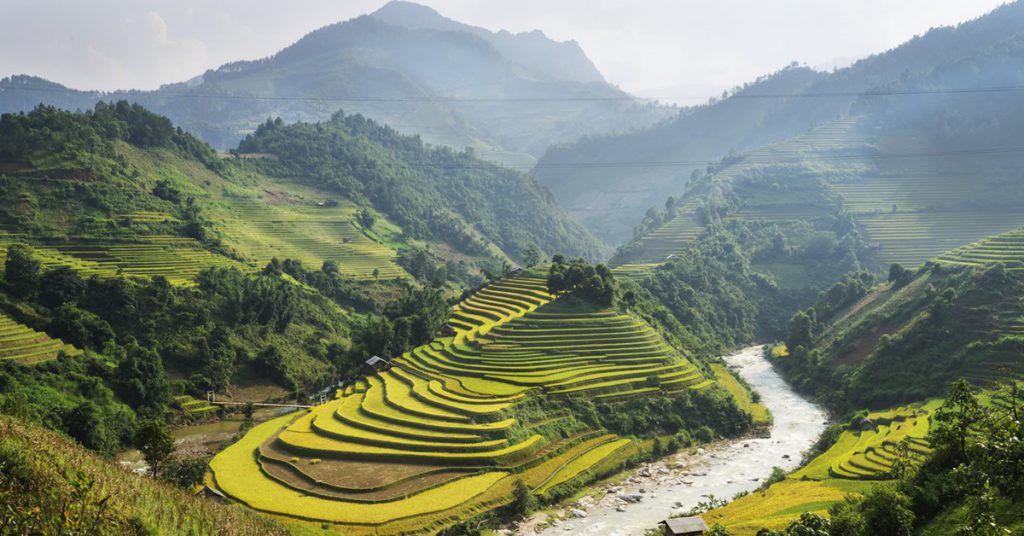 Sapa