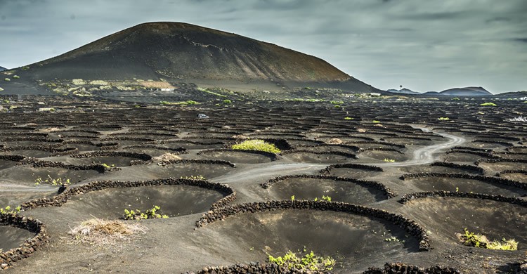 Iles Canaries - VYCHEGZHANINA