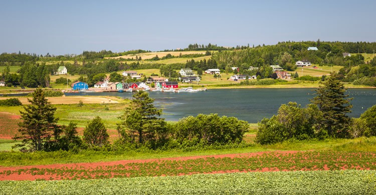 Prince Edward - Elenathewise