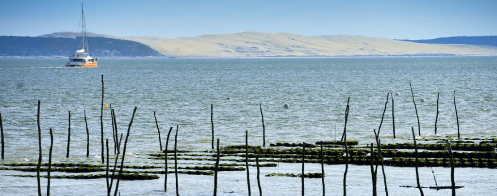 Sigue leyendo 5 raisons de visiter le Bassin d&rsquo;Arcachon