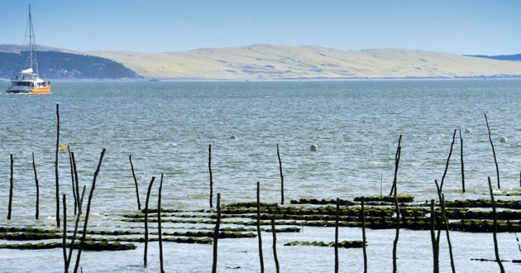 5 raisons de visiter le Bassin d&rsquo;Arcachon
