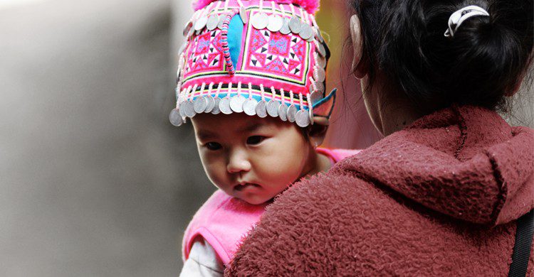 Bébé birman - jaboo2foto