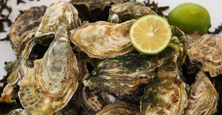 Huitres - johncopland