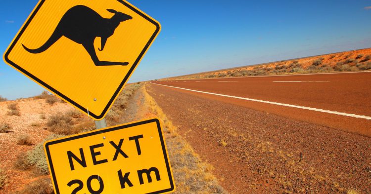 Sigue leyendo Les 10 animaux les plus dangereux d&rsquo;Australie