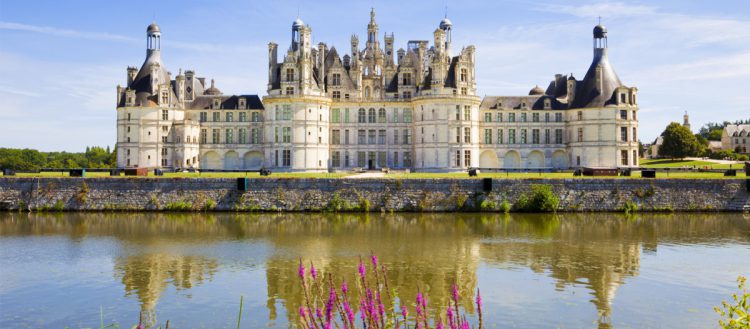 chambord-joesignacciosoto