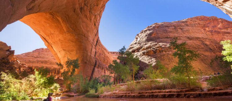 Sigue leyendo Les plus beaux parcs nationaux des USA