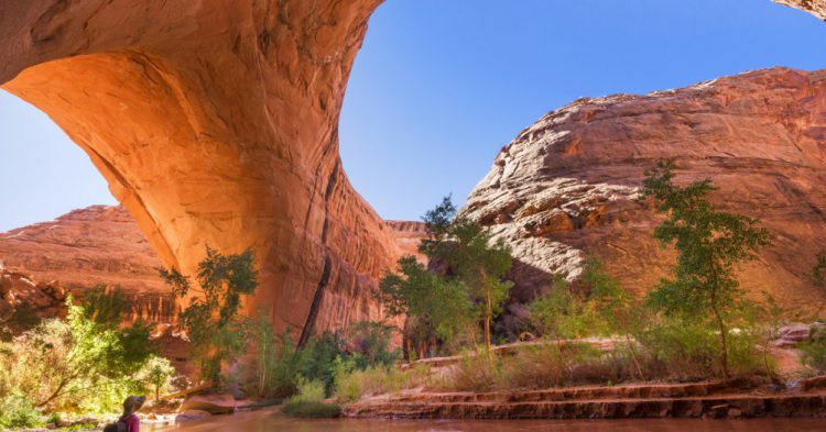 Sigue leyendo Les plus beaux parcs nationaux des USA