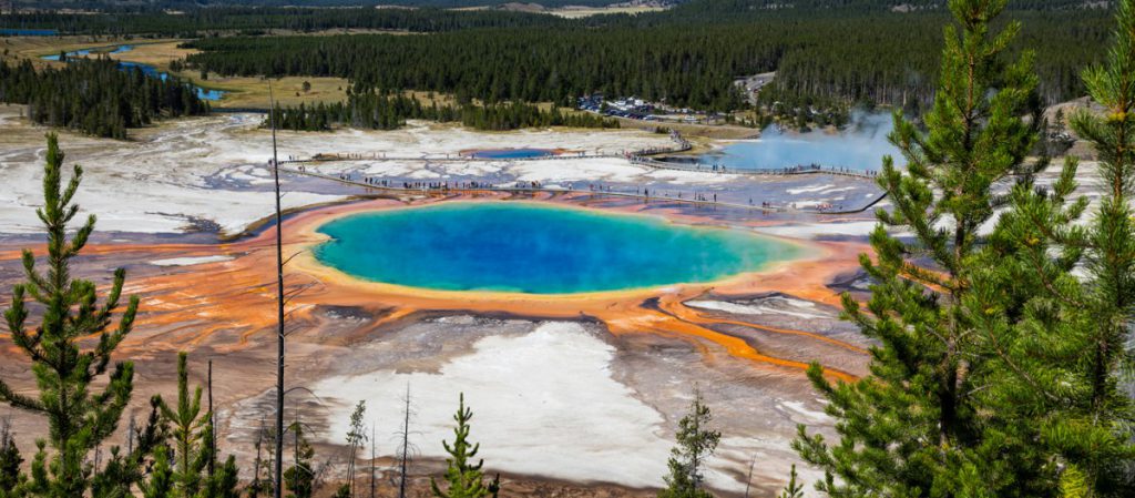 7. Yellowstone