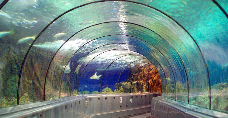 Intérieur du parc d'attraction Marineland (Istock)