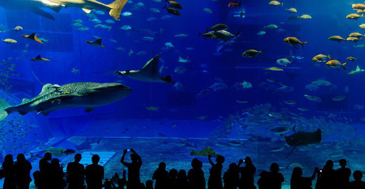 Parc Océania vue de l'intérieur (Istock)