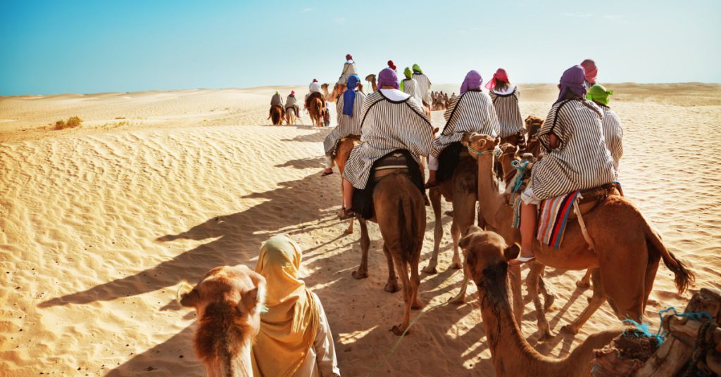5. Accompagnateur de voyage