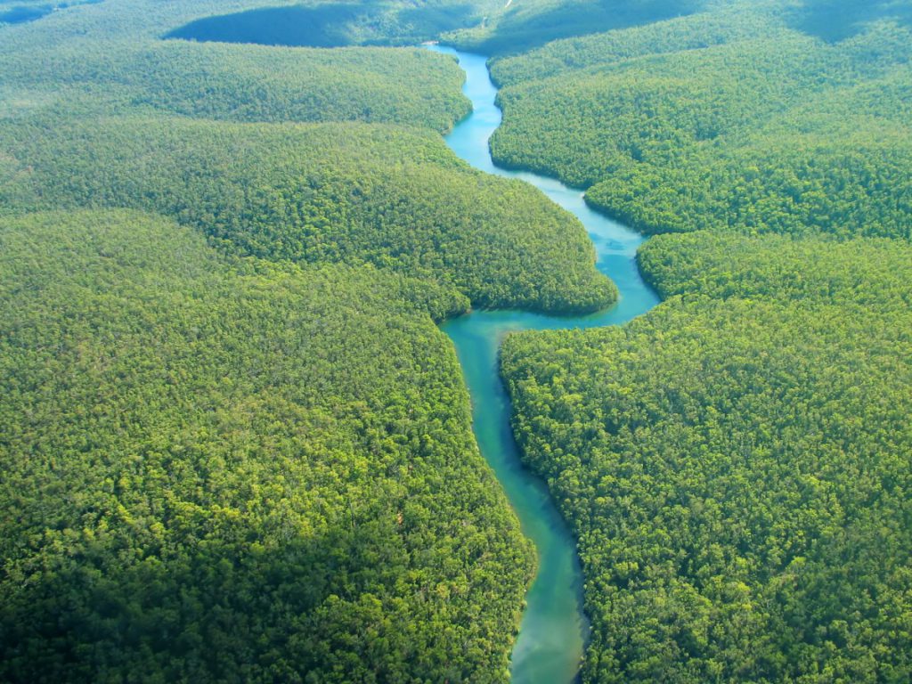 Au fil de l’eau… Yossi Ghinsberg décide, en 1981, d’aller explorer la forêt amazonienne de Bolivie avec 3 amis à la recherche d’or. Ils ne tardent pas à se perdre et le groupe se divise en deux : deux premiers remontent la rivière à pieds, tandis que Yossi et Kevin la descendent en radeau improvisé. Mais les courants sont forts et le radeau se défait, séparant ainsi les deux amis. Yossi décide donc de continuer à descendre la rivière en marchant, se nourrissant de baies, d’escargots et d’oiseaux. Kevin sera sauvé par un groupe d’indigènes et ne trouvera Yossi (en pleine hallucination) que 3 semaines plus tard, et on n’entendit plus jamais parler des deux autres.