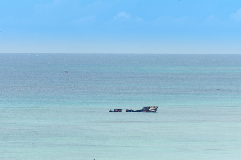 L’odyssée, la VRAIE En Janvier 1982, Steven Callahan part des Îles Canaries en destination d’Antigua-et-Barbuda (Caraïbes) à bord de son petit voilier. Le 7ème jour de voyage, le bateau est heurté par un objet non identifié (sûrement une baleine) ! En quelques minutes, il voit son navire couler. Il survivra à bord d’un canot pneumatique de moins de 1m70 de long avec pour seule alimentation du poisson (fraîchement pêché) et de l’eau douce récupérée des pluies. Il sera retrouvé 76 jours plus tard par des pécheurs guadeloupéens ! Le journal qu’il écrivit durant son périple inspira le film L’odyssée de Pi, pour lequel il sera par ailleurs embauché comme consultant.