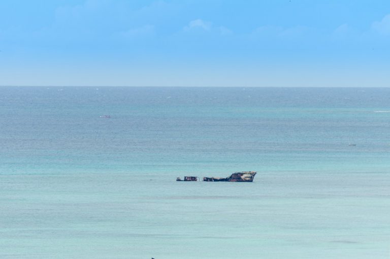 L’odyssée, la VRAIE En Janvier 1982, Steven Callahan part des Îles Canaries en destination d’Antigua-et-Barbuda (Caraïbes) à bord de son petit voilier. Le 7ème jour de voyage, le bateau est heurté par un objet non identifié (sûrement une baleine) ! En quelques minutes, il voit son navire couler. Il survivra à bord d’un canot pneumatique de moins de 1m70 de long avec pour seule alimentation du poisson (fraîchement pêché) et de l’eau douce récupérée des pluies. Il sera retrouvé 76 jours plus tard par des pécheurs guadeloupéens ! Le journal qu’il écrivit durant son périple inspira le film L’odyssée de Pi, pour lequel il sera par ailleurs embauché comme consultant.