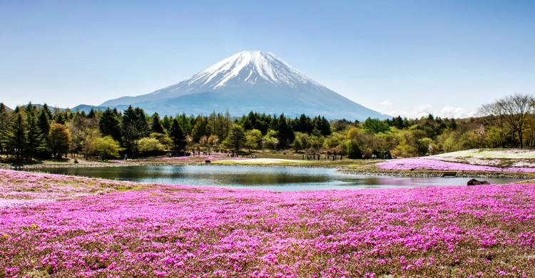  L'Ultra-Trail du mont Fuji au Japon Cette course, créée en 2012 est déjà en passe d’être une des plus célèbres au monde. Vous avez 46h pour effectuer un parcours de 168km et 9500m d’ascension. L’épreuve a lieu en début avril. Le début du printemps ajoute toutefois une difficulté : la météo ! Il se peut que vous deviez affronter vent, pluie et parfois neige à certains endroits du parcours. Si vous ne vous sentez pas de faire la course dans son entièreté, l’organisation propose un demi-tour de 88km.