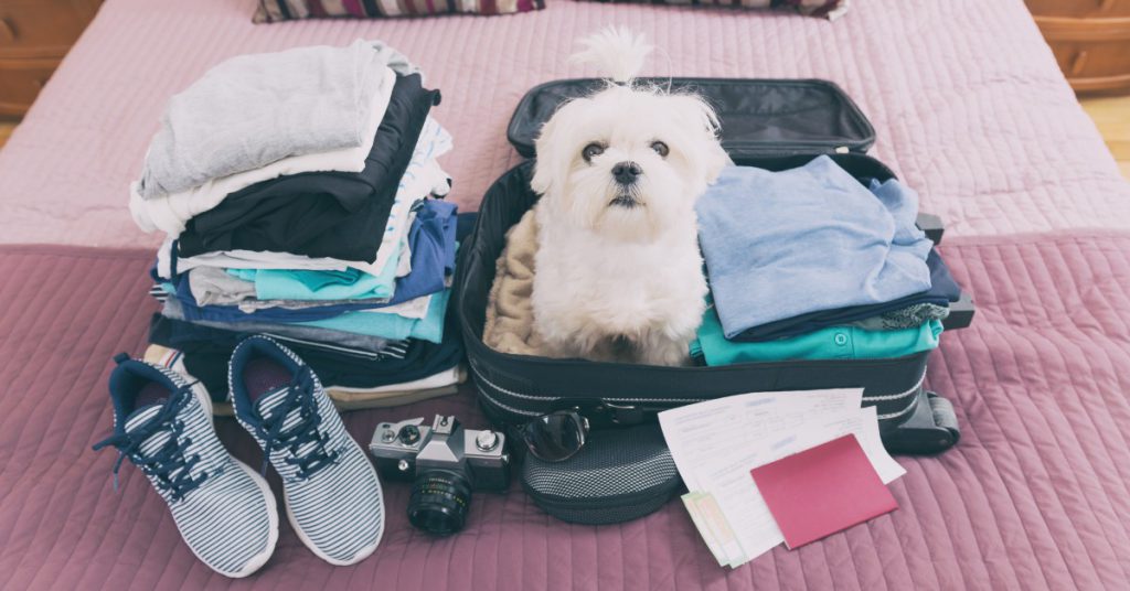 Sigue leyendo Tour du monde : 10 conseils avant de faire sa valise