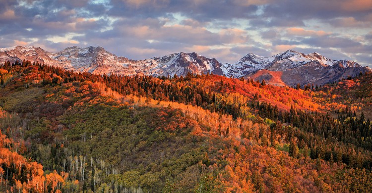 Wasatch 100, Utah aux États-Unis On vous prévient tout de suite : ce parcours est si dur que personne ne l’a jamais terminé (8000m d’ascension explique). Durant 161kilomètres, le coureur transpire entre canyons et sommets du Wasatch Front. En revanche, on ne saurait vous décrire la beauté de cette route entre la terre rougeâtre et la verdure végétale… La course se tient en début septembre et la condition pour pouvoir y participer est une journée d’entretien des routes (soit 8h). C’est ce qu’on appelle préparer le terrain !