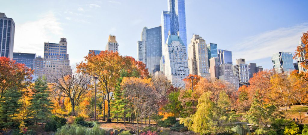 7. New-York