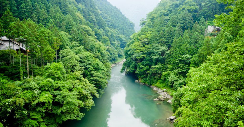 Sigue leyendo Top 5 des destinations les moins chères du moment