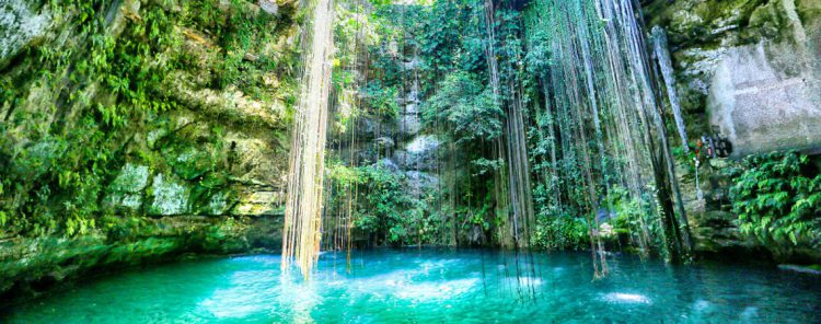 Sigue leyendo Plongez dans les 7 plus beaux bassins naturels du monde