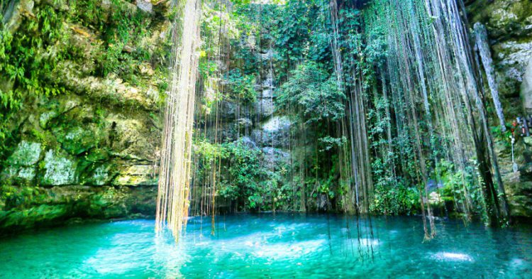 Sigue leyendo Plongez dans les 7 plus beaux bassins naturels du monde