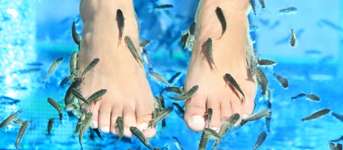 Le fish peeling en Turquie